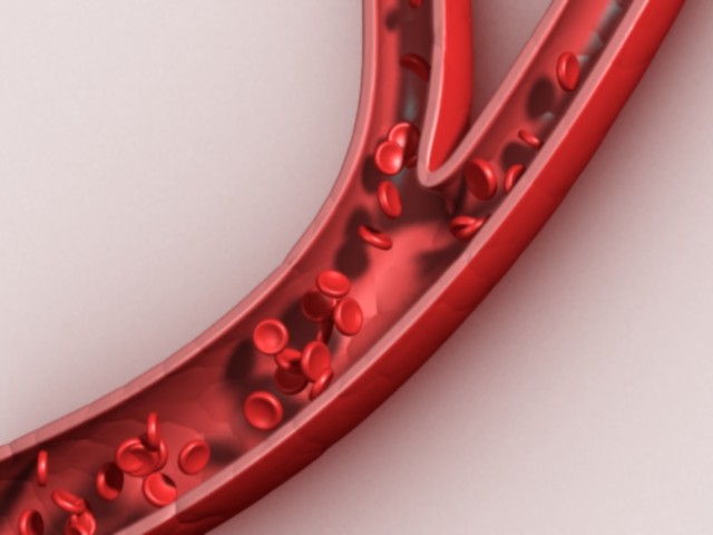 fram_01