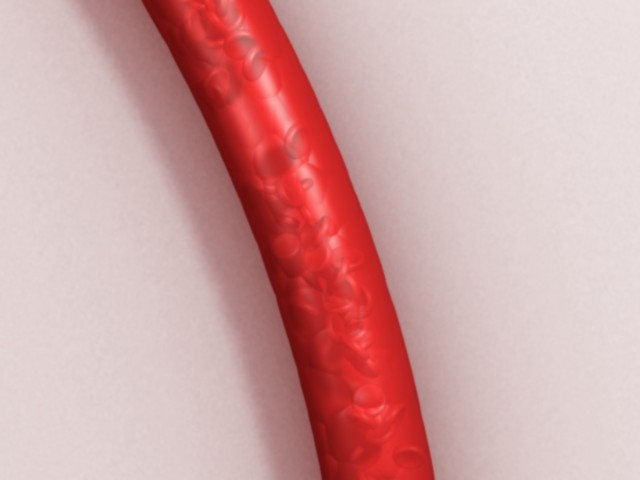 fram_04