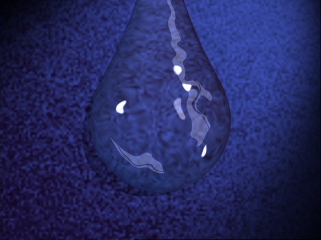 fram_01