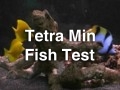 TetraMin